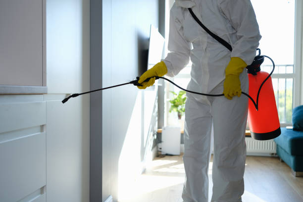 Best Emergency Mold Removal  in Wyoming, DE