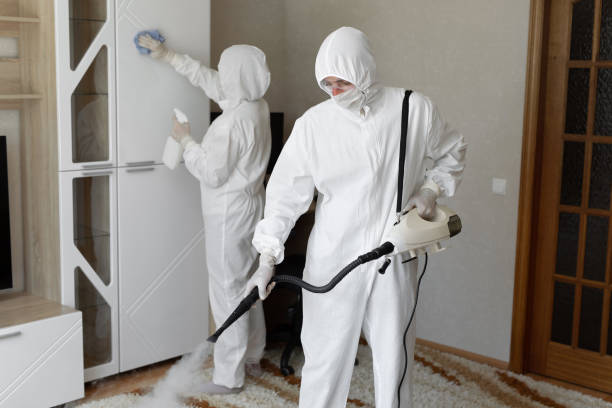 Best Attic Mold Removal  in Wyoming, DE