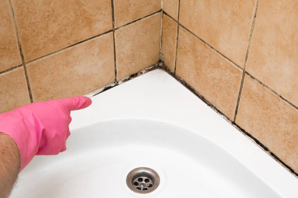 Best Residential Mold Removal  in Wyoming, DE